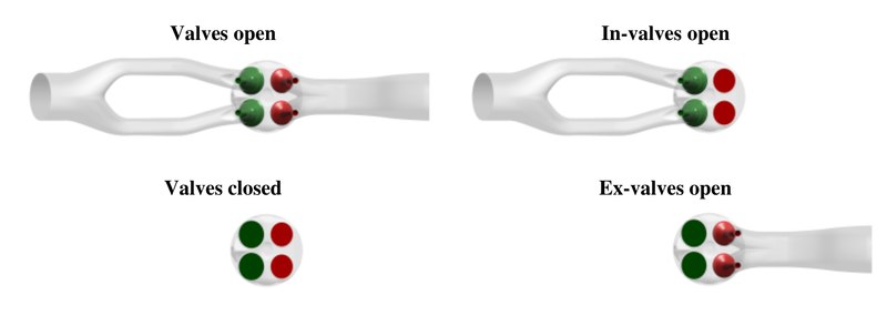 File:AC2-10 fdomain.png